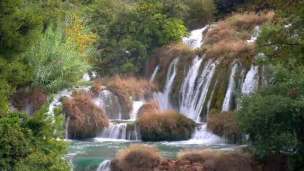 Восени Національному Парку Крка Хорватія Водоспади Протікають Крізь Бурі Трав — стокове відео