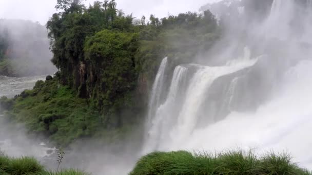 Belles Chutes Iguazu Dans Paysage Tropical Argentine — Video