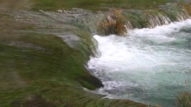 Primer Plano Una Fuerte Corriente Agua Que Fluye Estanque Otro — Vídeo de stock