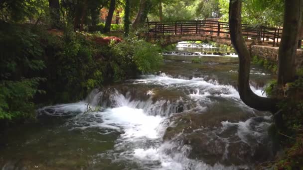 Puente Que Atraviesa Una Serie Cascadas Largo Arroyo Parque Nacional — Vídeo de stock