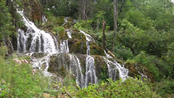 Vários Níveis Água Cascata Cercada Por Exuberantes Arbustos Verdes Árvores — Vídeo de Stock