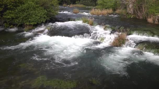 Agua Que Fluye Nivel Otro Con Plantas Color Verde Marrón — Vídeos de Stock