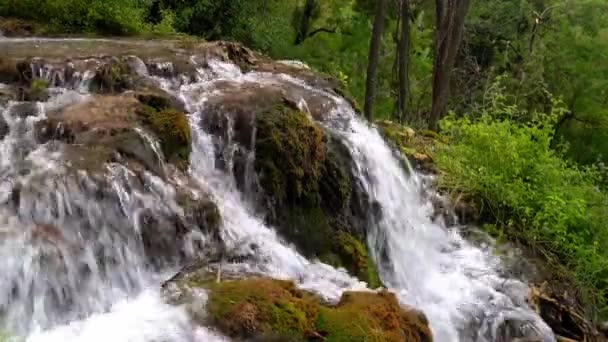 Água Que Flui Sobre Uma Formação Rochosa Coberta Musgo Parque — Vídeo de Stock