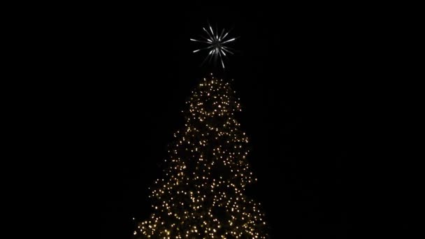 Christmas Tree Beautiful Shimmering Light Star Night — Stock Video