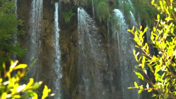 Magas Vékony Vízesések Élénk Zöld Bokrokkal Előtérben Plitvicei Tavak Nemzeti — Stock videók