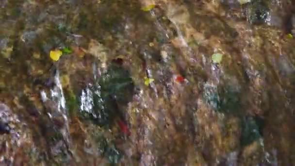 Panning View Water Cascading Rocky Surface Moss Autumn Leaves Bottom — Stock Video