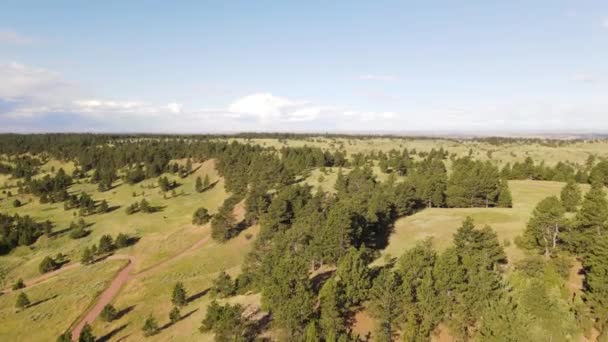 Vista Aérea Weston Hills Recreation Área Con Red Caminos Tierra — Vídeos de Stock