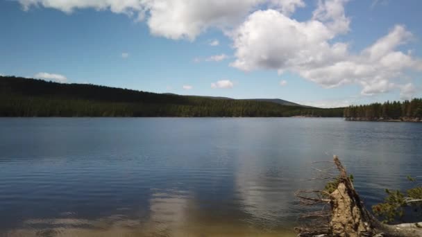 ワイオミング州のビッグホーン国立の森を背景に雲のピークワイルダネスと夏の公園貯水池のパノラマビュー — ストック動画