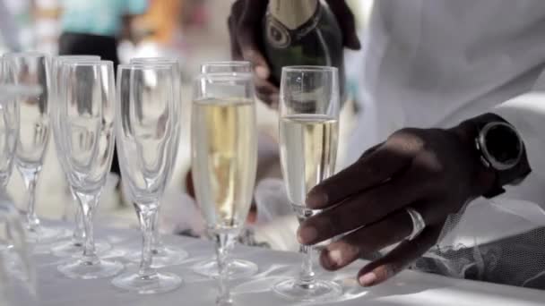 Close Shot Black Man Pouring Champagne Sparkling Wine Tall Transparent — Stock Video