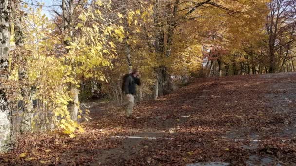 Фотограф Прогуливающийся Осенним Цветным Деревьям Смотрящий Лесные Краски Словении Возле — стоковое видео