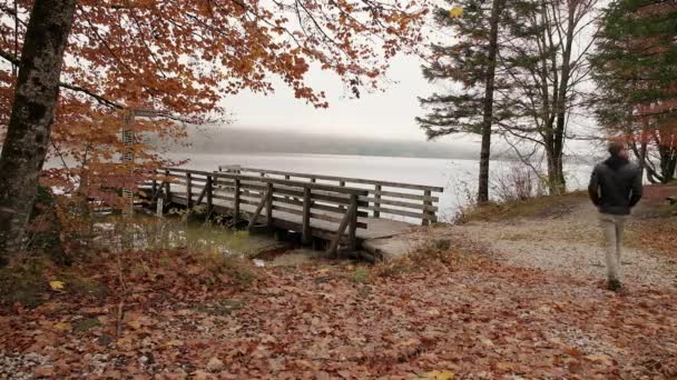 가을에 아침에 나무로 부두로 걸어가는 주위의 아늑하고 안개가 환경은 자연계에서 — 비디오