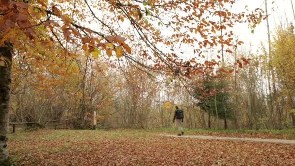 Une Personne Marche Par Une Journée Brumeuse Sur Chemin Gravier — Video