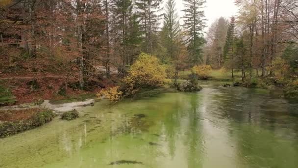 Bohinj Rzeka Działa Niesamowitymi Zielonymi Kolorami Bohinjska Sava — Wideo stockowe