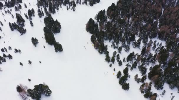 意大利寒冷的天气里 美丽的空中无人驾驶飞机拍摄着冬季的风景 还有绿色的松树和冷杉树 滑雪者滑过雪山 — 图库视频影像