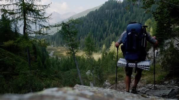Static Medium Shot Active Man Hiking Downhill Trekking Poles Dolomites — Stock Video