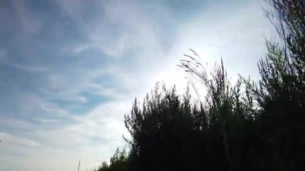 Lapso Tiempo Del Movimiento Del Cielo Nubes Movimiento Rápido Revelación — Vídeo de stock