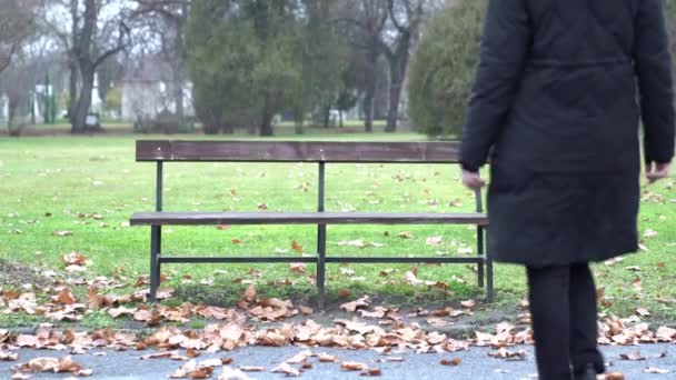 Молодая Женщина Гуляющая Парке Сидящая Одна Скамейке Холодный День — стоковое видео