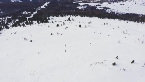 Luchtfoto Kantelen Van Skiër Skiën Alleen Lege Sneeuw Bedekte Piste — Stockvideo