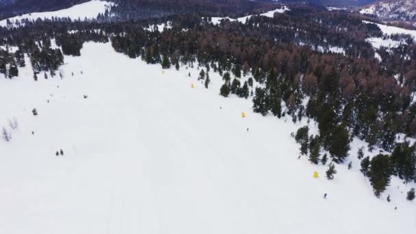 空中的轨道拍摄雪质的斜坡与几个滑雪者滑行下山山周围的冷杉树 意大利Alpe Lusia Ski地区在2020年Corona病毒流行期间 — 图库视频影像