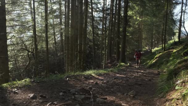 Статичний Широкий Знімок Альпініста Полюсами Йдуть Вгору Скелястій Стежці Лісі — стокове відео