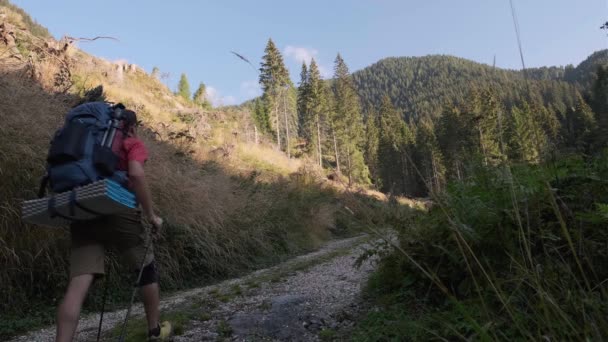 Πίσω Πυροβόλησε Χαμηλή Γωνία Του Πεζοπόρου Πόλους Πεζοπορίας Πόδια Πετρώδη — Αρχείο Βίντεο