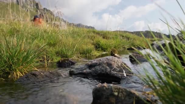 Randonneur Masculin Marchant Sur Petit Ruisseau Avec Des Pierres Pendant — Video