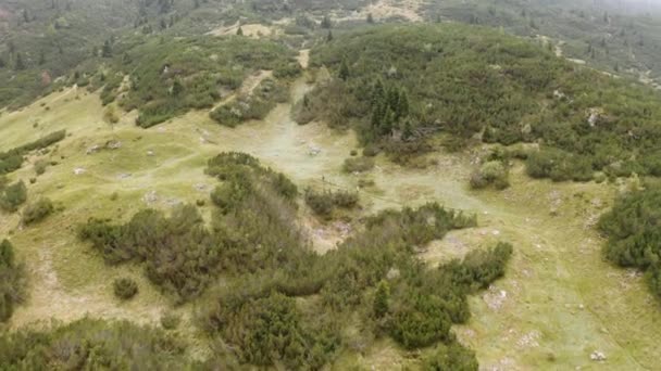 Aerial Flyover Green Altopiano Plateau Asiago Two People Jogging Rural — Vídeos de Stock