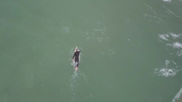 Droneshot Surfare Som Paddlar Havet — Stockvideo