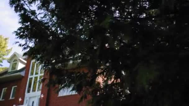 Belle Révélation Une Belle Maison Brique Rouge Derrière Buissonnant Arbre — Video