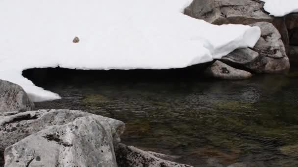Nieve Noruega Rompiendo Cayendo Río Natural Cambio Climático Calentamiento Global — Vídeo de stock