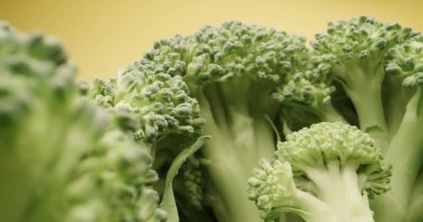 Makro Sond Bakåt Skott Grön Broccoli Gul Bakgrund Räckvidd — Stockvideo