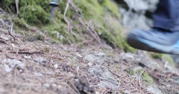 Lage Hoek Close Van Wandelaar Wandelen Met Wandelschoenen Stokken Langzame — Stockvideo