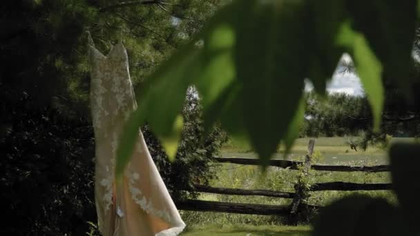 裏庭にぶら下がっている豪華なデザイナーのドレスの葉の木の後ろから美しい明らかに — ストック動画