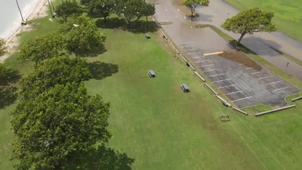 ハワイの浸水した公園のドローン映像 — ストック動画