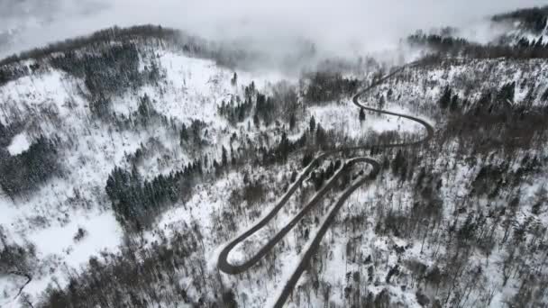 Redução Aérea Pedestal Inverno Nevado Montanhas Pinheiro Floresta Estrada — Vídeo de Stock