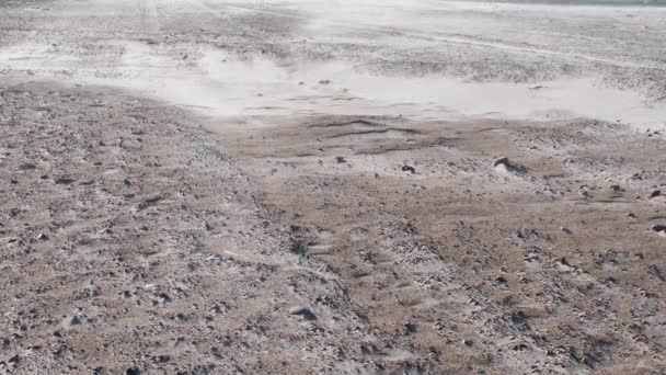 Sterke Wind Zandwoestijn Tijdens Zonnige Dag Zand Die Woestijn Vliegt — Stockvideo