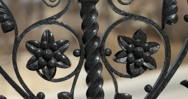 Hermoso Primer Plano Una Puerta Acero Negro Con Diseños Florales — Vídeos de Stock