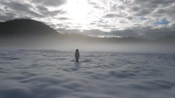 Aerial Dolly Empurrar Para Pessoa Solitária Profunda Frio Inverno Neve — Vídeo de Stock