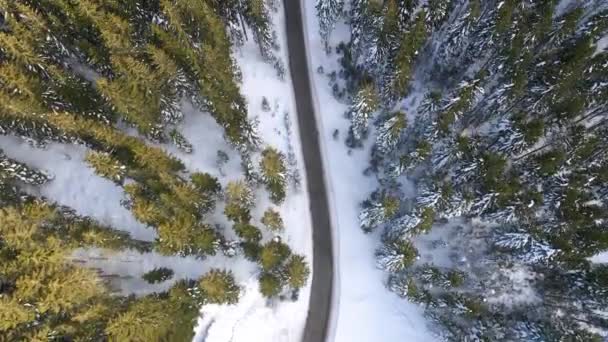 Hava Kulesi Karlı Yolu Çam Ağaçlarını Ormanı Kışın Harikalar Diyarını — Stok video