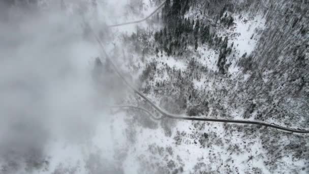 Dağ Yollarının Üzerinde Hava Ileri Kar Ağaçları Sisli Kış — Stok video