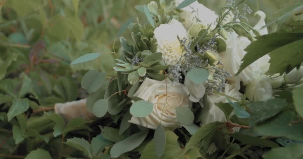 新娘从后院的植物篱笆上摘下她美丽的白玫瑰和百合花束 — 图库视频影像