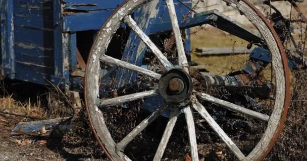 Carro Granja Madera Viejo Patinado Sentado Medio Hierba Alta Museo — Vídeos de Stock