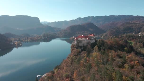 Prachtige Antenne Met Uitzicht Lake Bled Kasteel Blejski Grad Boomtoppen — Stockvideo