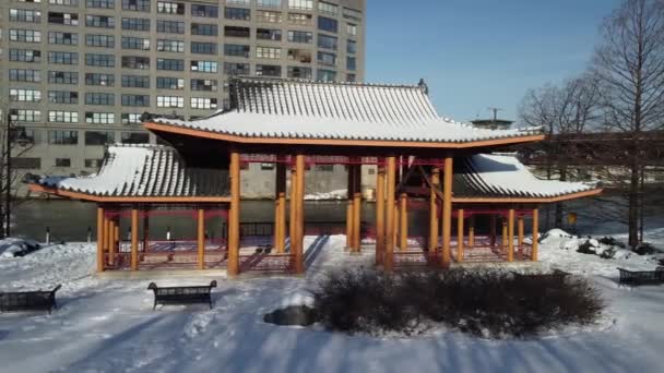 Aerial Drone View Chicago Chinatown Historic Ping Tom Park — Stock Video