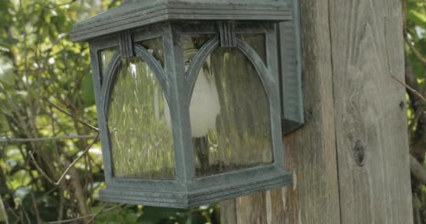 Van Achter Een Appelboom Weglopen Een Prachtige Houten Hut Onthullen — Stockvideo