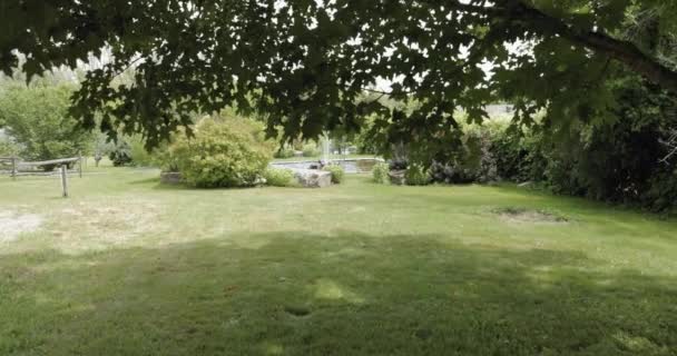 在斯特拉丝米尔婚礼中心和温泉浴场 走出树下 可以看到一个美丽的庭院 里面有优雅的喷泉 — 图库视频影像