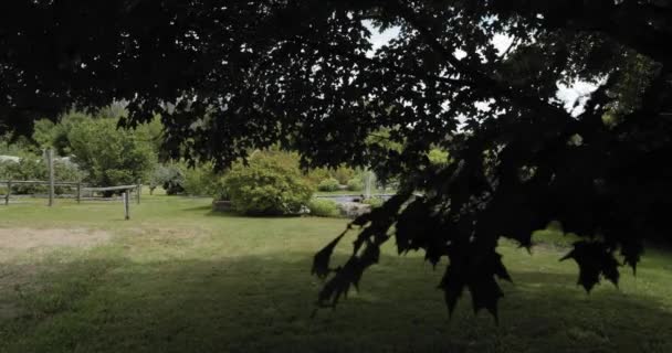 Revealing Gorgeous Water Fountain Feature Beautiful Tree Acreage Grounds Strathmere — Stock Video