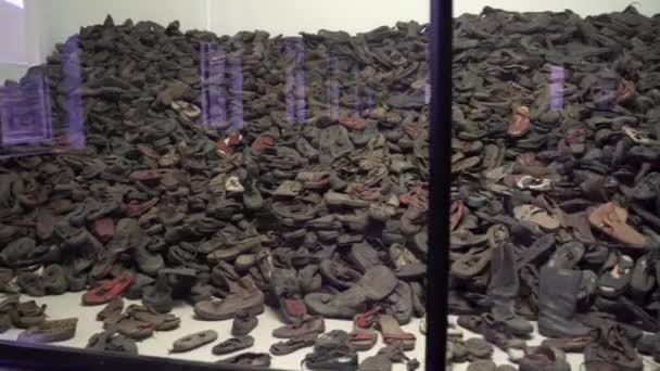 Exhibición Zapatos Museo Del Campo Concentración Auschwitz — Vídeos de Stock