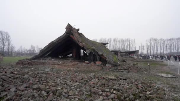 Ruinas Crematorio Campo Concentración Birkenau Parte Del Complejo Auschwitz Con — Vídeo de stock