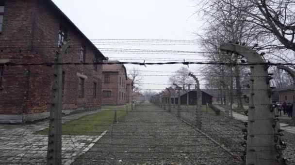 Auschwitz Koncentrationslägerbyggnader Bakom Taggtrådsstängsel — Stockvideo